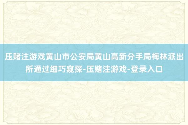 压赌注游戏黄山市公安局黄山高新分手局梅林派出所通过细巧窥探-压赌注游戏-登录入口