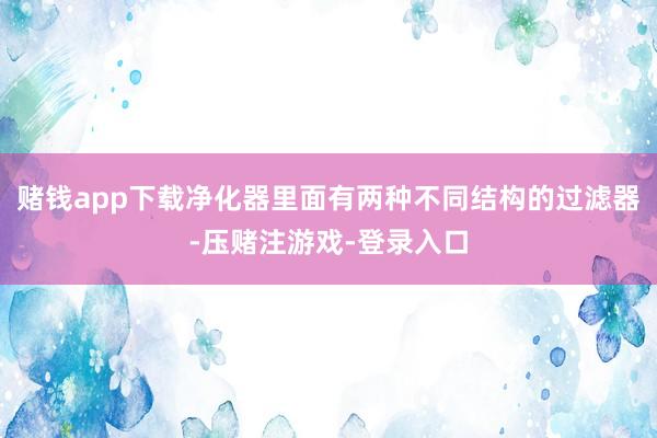 赌钱app下载净化器里面有两种不同结构的过滤器-压赌注游戏-登录入口