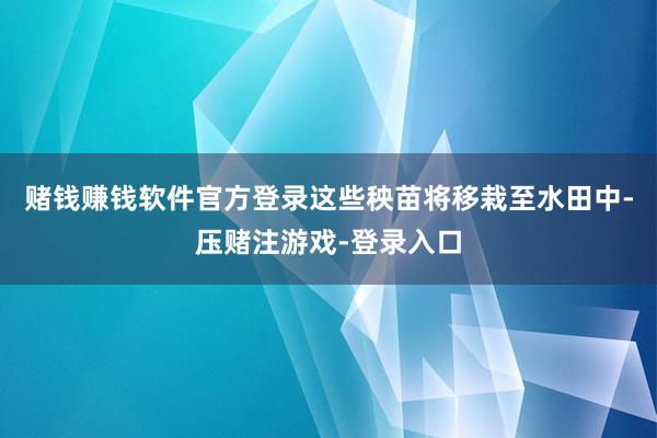 赌钱赚钱软件官方登录这些秧苗将移栽至水田中-压赌注游戏-登录入口