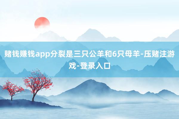 赌钱赚钱app分裂是三只公羊和6只母羊-压赌注游戏-登录入口