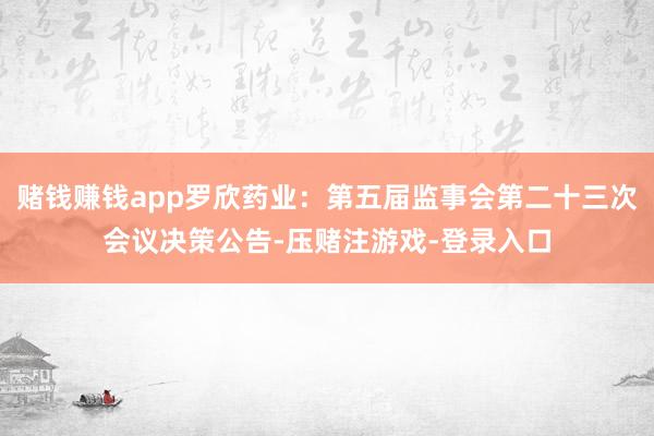 赌钱赚钱app罗欣药业：第五届监事会第二十三次会议决策公告-压赌注游戏-登录入口