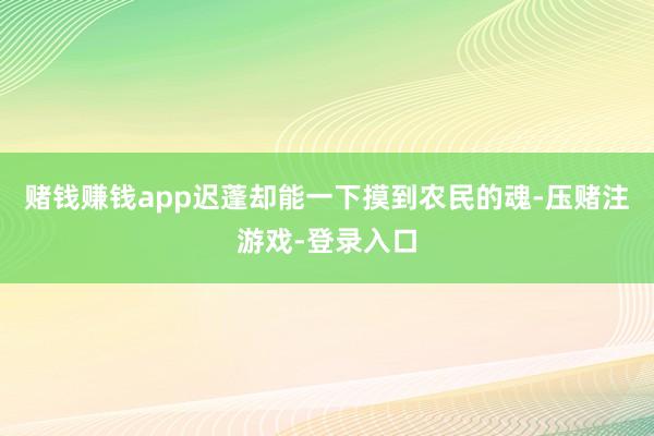 赌钱赚钱app迟蓬却能一下摸到农民的魂-压赌注游戏-登录入口